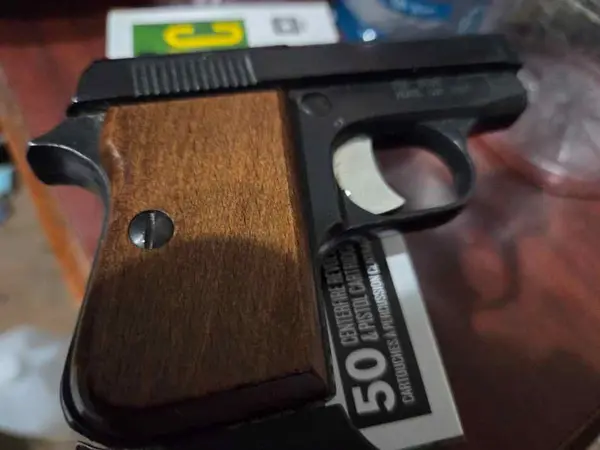 FIE TITAN 25 acp pistol, plus two boxes of ammo.
