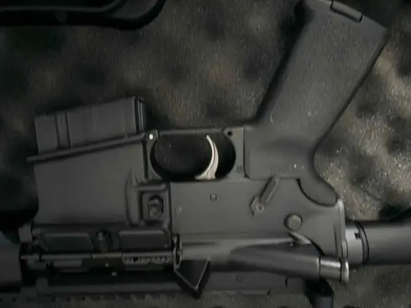 Bear Creek Arsenal Anderson Lower 22 ARC