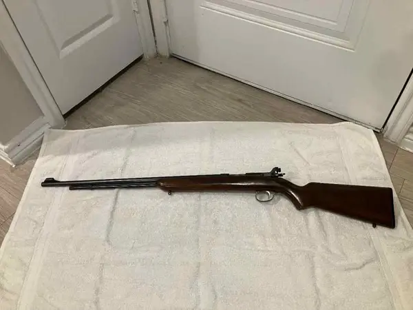Remington SportMaster 341-P Target