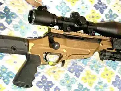 Savage Arms 6.5 Creedmore with Scope