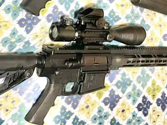 Diamondbaxk Ar in .308