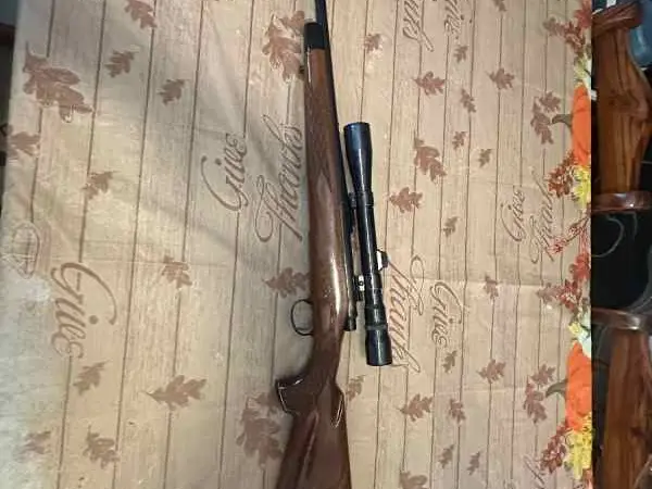Remington 700 .222