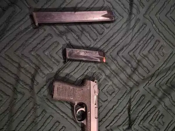 Ruger p95