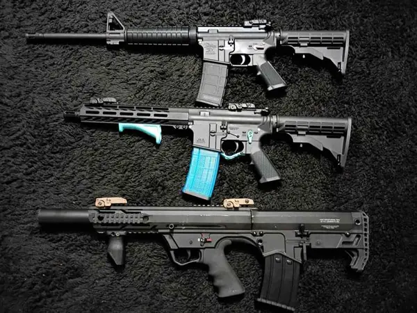 WTS AR15/12G