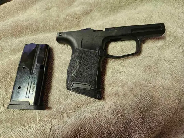 P365 Module
