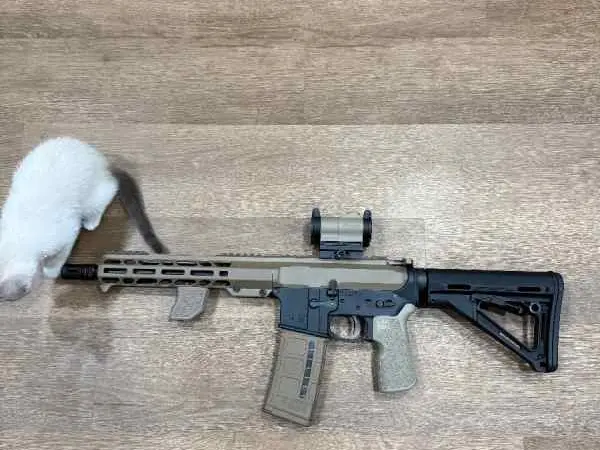 10.5" AR15 5.56 Sell/Trade