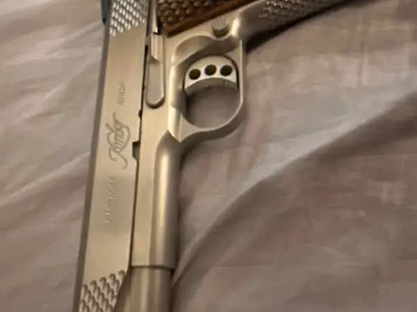 Kimber Raptor II Stainless