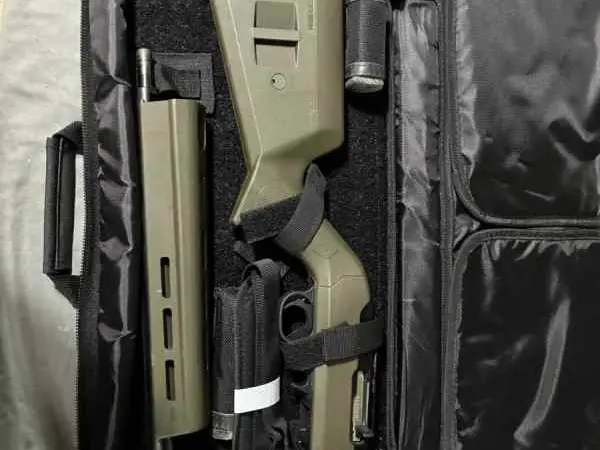 Ruger 10/22
