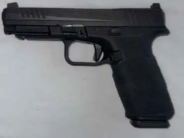 Ruger RXM