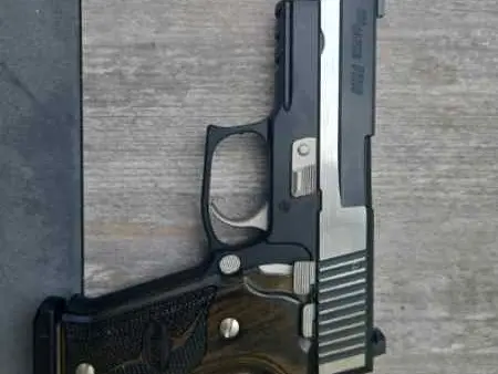 Sig 220 Two Tone Limited Edition Equinox