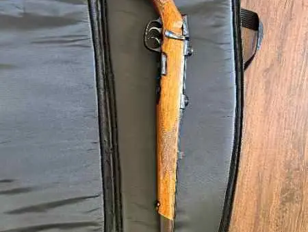 Steyr model M 30/06