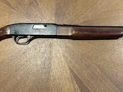 Winchester Model 290 Deluxe .22 LR Semi-Auto