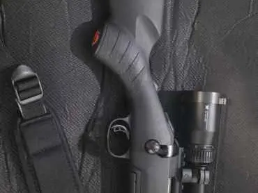 Ruger 30.06