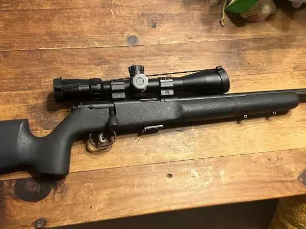 SAVAGE ARMS PRECISION .17HMR