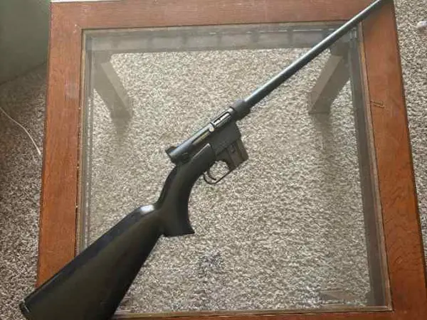 charter arms AR7