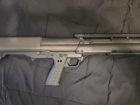 Ksg12
