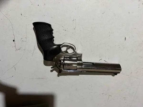 Ruger GP 100