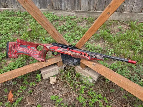 Brand new custom Ruger 10/22