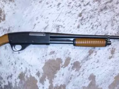 Stevens 67E .410 w/ Game Shells