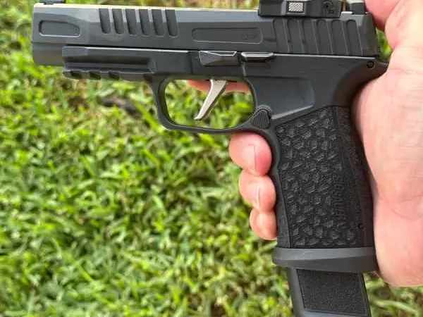 Sig P365 FUSE Fs/ft