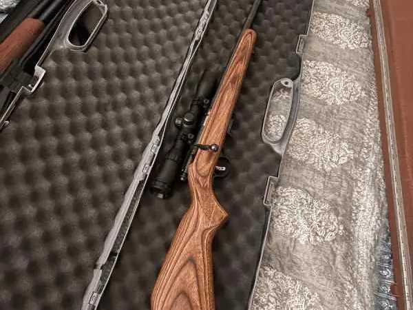 Savage model 93HMR 17HMR
