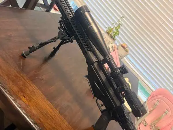 Ruger rpr 308