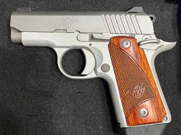 Kimber Micro 380