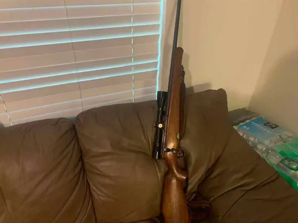 savage in 222 remington model 340