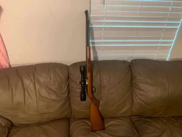 marlin model 60 22lr