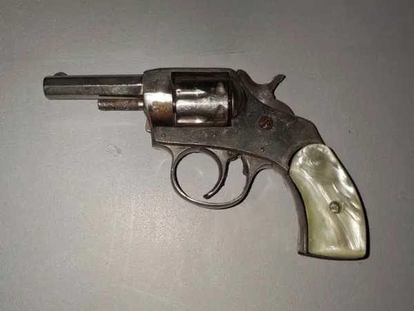 Iver Johnson Boston bulldog 22 short/long