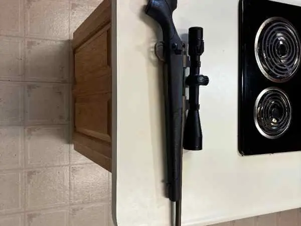 Weatherby Vanguard threaded 270 Vortex Viper