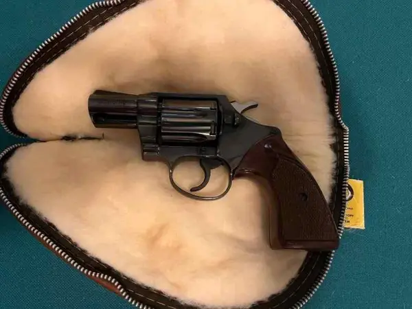 1973 Colt Det. Special