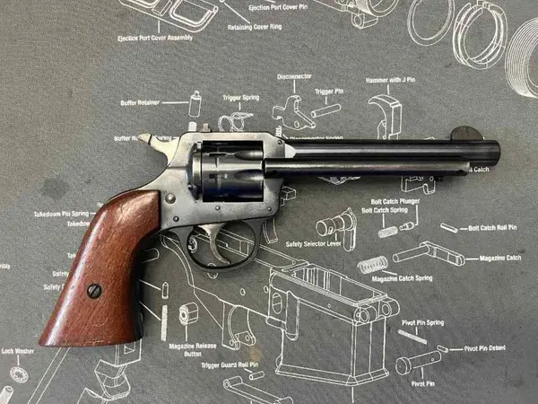 9 Shot .22