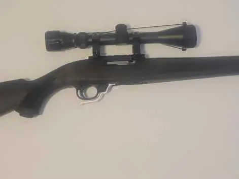 Ruger 10/22 18.5" w/ 3-9x40 Scope
