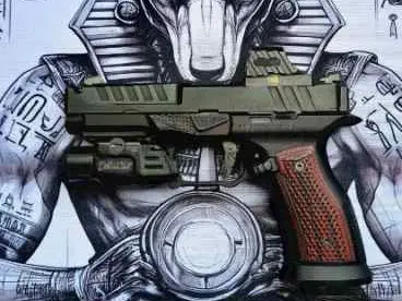 Springfield Echelon