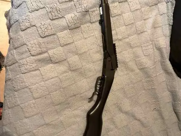 Chiappa Double Badger 22/410