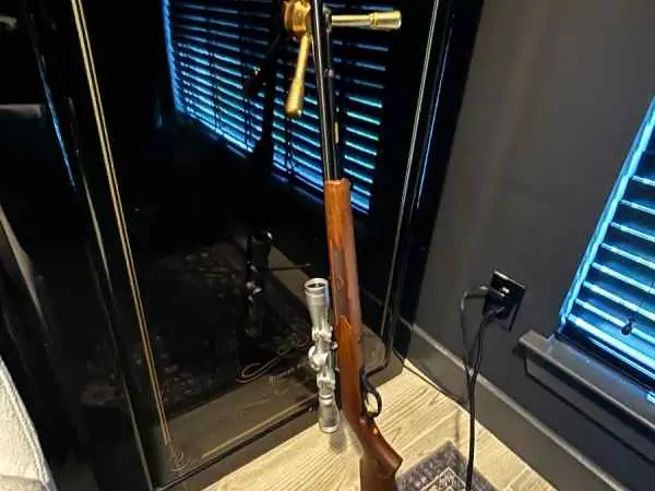 Marlin model 60
