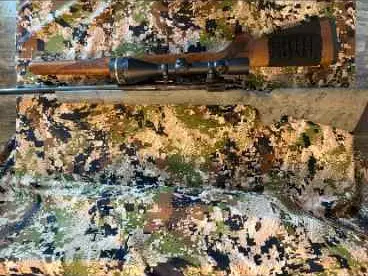 Ruger M77 Tang Safety 257 Roberts