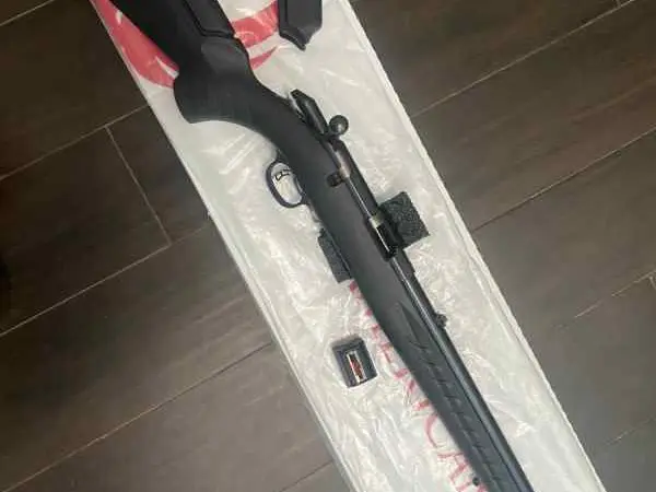 Ruger 22LR Rimfire Rifle