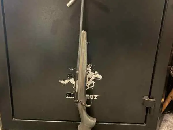 Browning X Bolt 270 wsm