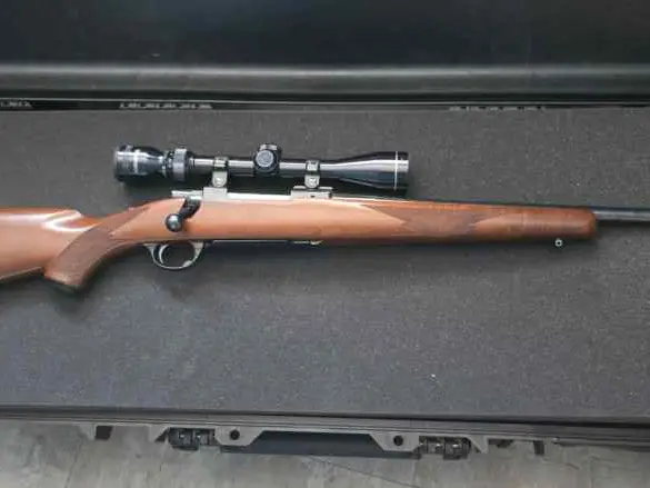 Ruger M77 MK1 in .22-250
