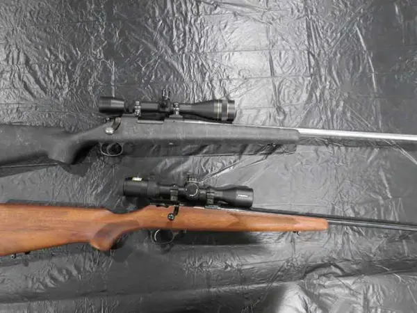 Remington 700 custom stainless in 22-250