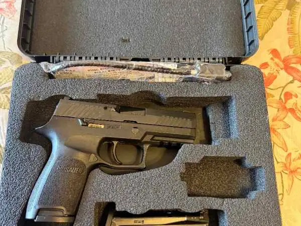 Sig Sauer P320 Compact with two mags in the box