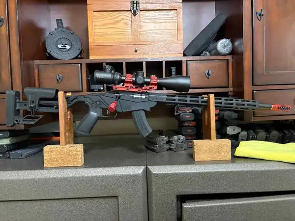 Ruger Precision 22LR with vortex scope