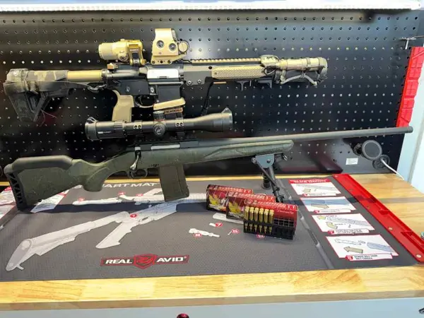 Ruger American in 204 Ruger