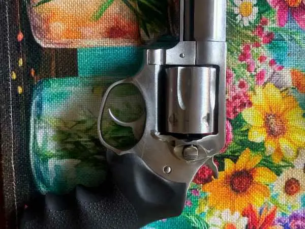 Ruger SP101 .357
