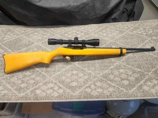 Ruger 10/22