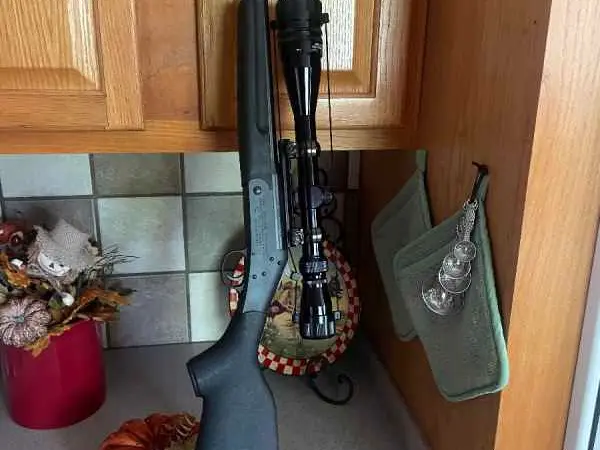 New England sportster SS1. 22LR