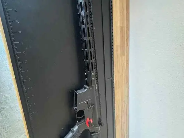 Franklin Armory Binary AR15