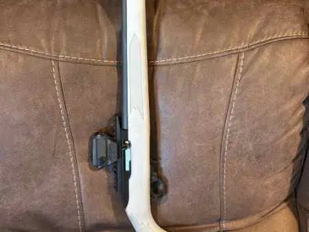 Ruger 10/22